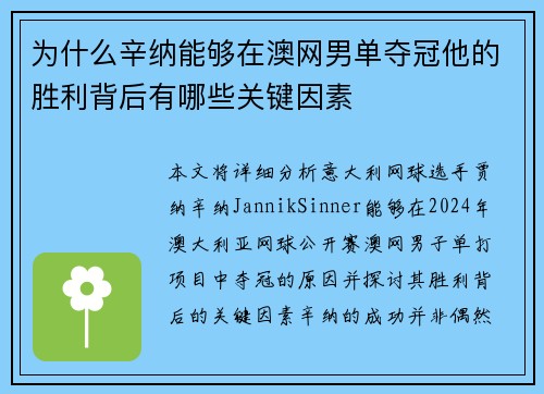 为什么辛纳能够在澳网男单夺冠他的胜利背后有哪些关键因素 为什么辛纳能够在澳网男单夺冠他的胜利背后有哪些关键因素