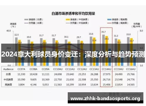 2024意大利球员身价变迁:深度分析与趋势预测 2024意大利球员身价变迁:深度分析与趋势预测
