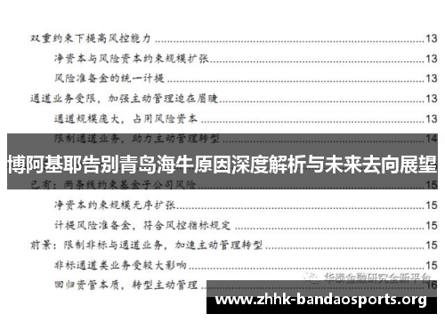 博阿基耶告别青岛海牛原因深度解析与未来去向展望 博阿基耶告别青岛海牛原因深度解析与未来去向展望