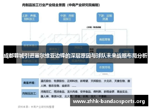 成都蓉城引进塞尔维亚边锋的深层原因与球队未来战略布局分析 成都蓉城引进塞尔维亚边锋的深层原因与球队未来战略布局分析