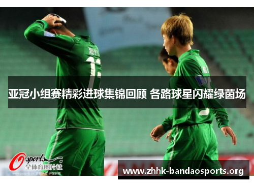亚冠小组赛精彩进球集锦回顾 各路球星闪耀绿茵场 亚冠小组赛精彩进球集锦回顾 各路球星闪耀绿茵场