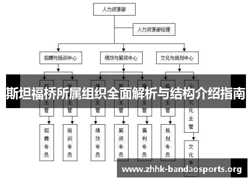 斯坦福桥所属组织全面解析与结构介绍指南 斯坦福桥所属组织全面解析与结构介绍指南