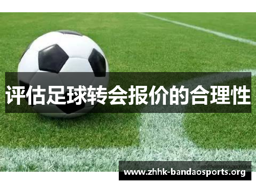 评估足球转会报价的合理性 评估足球转会报价的合理性