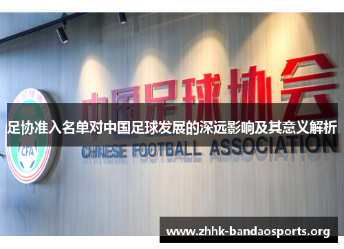 足协准入名单对中国足球发展的深远影响及其意义解析 足协准入名单对中国足球发展的深远影响及其意义解析